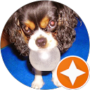 Gwenaël Taton profile picture