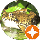 Al Capitaine profile picture